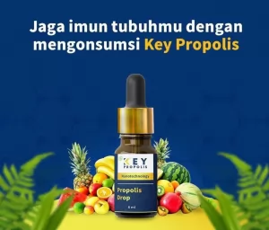 madu key propolis premium